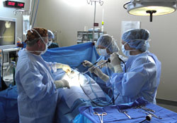 Group of doctors performing surgery on a patient